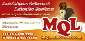 Businesscards