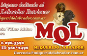 Businesscards